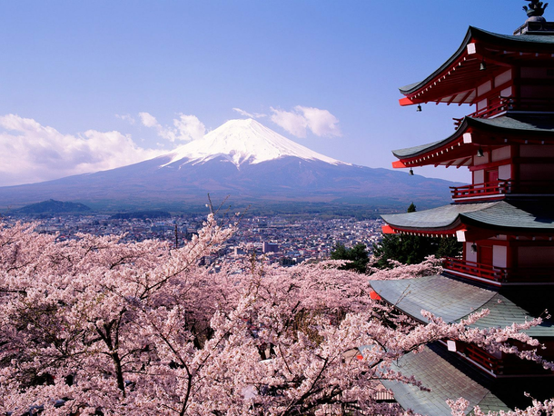 spring-in-Japan-spring-13476523-1600-1200